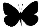 Butterfly silhouette, logo, shape, OECV02P15_16M