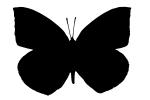 Butterfly silhouette, logo, shape, OECV02P15_18M