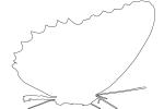 Butterfly outline, line drawing, shape, OECV03P04_11O