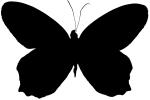 Butterfly silhouette, logo, shape, OECV03P05_01M