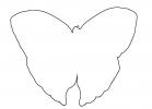 Butterfly outline, line drawing, shape, OECV03P05_04O