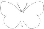 Butterfly outline, line drawing, shape, OECV03P05_08O