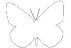 Alfalfa Sulfer outline, Butterfly, Wings, line drawing, shape, OECV03P05_14O