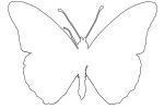 Gulf Fritillary outline, line drawing, shape, (Agraulis vanillae), Nymphalidae, OECV03P05_18O