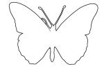 Gulf Fritillary outline, line drawing, shape, Gulf Fritillary, (Agraulis vanillae), Nymphalidae, Wings, OECV03P05_19O