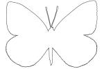Cabbage Butterfly outline, line drawing, shape, (Pieris rapae), Pieridae, OECV03P06_03O