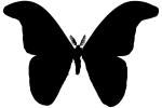Atlas Moth silhouette, logo, shape, (Attacus atlas), Saturniidae, OECV03P06_06M