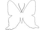 Outline Metalmark Butterfly, line drawing, shape, OECV03P06_11O