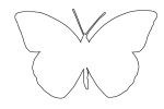 Outline of a Butterfly, line drawing, shape, OECV03P06_14O