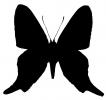 Butterfly silhouette, logo, shape, OECV03P06_17M
