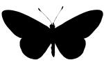 Butterfly silhouette, logo, shape, OECV03P07_05M