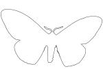 Owl Moth outline, line drawing, shape, OECV03P07_12O