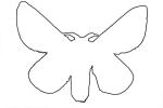 Rosy Maple Moth outline, line drawing, shape, OECV03P07_14O