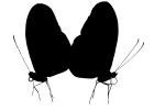 Butterfly silhouette, logo, shape, OECV04P02_01M