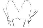 Butterfly outline, line drawing, OECV04P02_01O