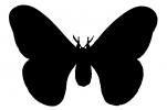 Moth silhouette, shape, OECV04P15_12M