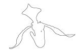 Lady Slipper line drawing, outline, shape, OFOV01P04_16.3296O