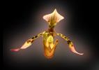 Lady Slipper, Erotic Flower, Sensuous, Sensual, OFOV01P04_16B.3296