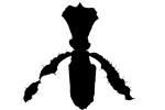 Orchid silhouette, logo, shape, OFOV01P09_09M