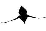 silhouette, logo, shape, OFOV02P02_06M