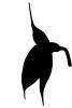 silhouette, Orchid logo, shape, OFOV02P09_03M