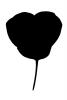 silhouette, logo, shape, OFOV02P10_01M