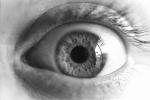 lash, Eyeball, Iris, Lens, Pupil, Eyelash, Cornea, Sclera, PACPCD0662_092