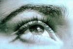 Eyeball, Iris, Lens, Pupil, Eyelash, Cornea, Sclera, Female, Woman, Eye Brow, Eyebrow, skin, PACV01P13_17.2676