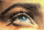 Eyeball, Iris, Lens, Pupil, Eyelash, Cornea, Sclera, Female, Woman, Eye Brow, Eyebrow, skin, PACV01P13_17B