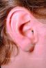 Ear, Lobe, Hearing, PACV01P15_03.2677