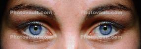 Face, Eyeball, Iris, Lens, Pupil, Eyelash, Cornea, Sclera, Female, Woman, Eye Brow, Eyebrow, Panorama, PACV02P02_02E