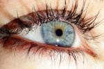 Eyeball, Iris, Lens, Pupil, Cornea, Sclera, Eyelash, aqueous humor, Woman, Female, PACV02P08_06