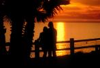 Couple with Palm Trees, Santa Monica Palisades, PAFV04P13_04B