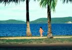 Little Boy Walking, Palm trees, PBAV01P11_11