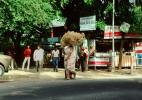 Woman Carries a Heavy Load on her Head, Ahmedabad, Gujarat, PDCV01P02_13