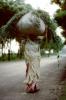 Woman Carrying a bushel, PDCV01P03_16