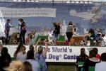 World's Ugliest Dog Contest, Sonoma-Marin Fair, 21/06/2019, PFFD02_060