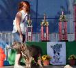 World's Ugliest Dog Contest, Sonoma-Marin Fair, 21/06/2019, PFFD02_152
