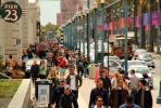 people, crowds, walking along the Embarcadero, sidewalk, buildings, PFSD02_006