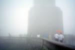 Foggy day, PFSV05P10_02