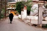 Woman Walking with Cane, Politika, Greece, PFSV05P11_02