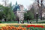 Tulips, Building, Castle, Palace, Ottawa, PFSV05P15_05