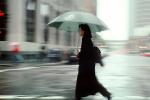 Woman Walking, rain, crosswalk, umbrella, PFSV07P03_17