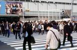 Crosswalk, Ginza District, Tokyo, PFSV08P02_05