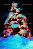 Christmas Tree in the Snow, cold, ice, night, nighttime, PHCV01P08_09C