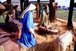 Nativity Scene, manger, Jesus, Baby, crib, lamb, Mother Mary, camels, hay, Three Wisemen, PHCV02P08_13