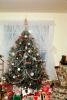 tree, presents, Decorations, Ornaments, Christmas Tree decorated, PHCV02P09_18