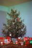 Presents, Decorations, Ornaments, Tree, 1950s, PHCV02P11_13