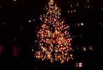 Tree, Decorations, Presents, Ornaments, Christmas Tree decorated, PHCV03P05_01