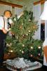 Tree, Decorating, Man, suspenders, ornaments, decorations, male, 1950s, PHCV04P05_03